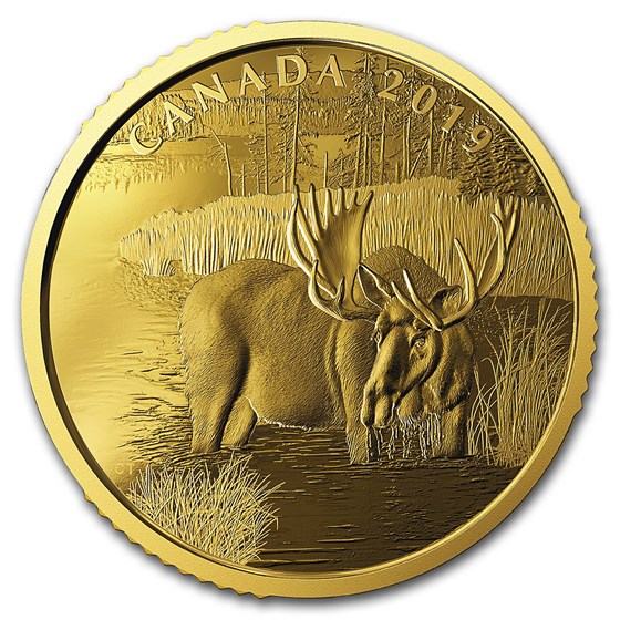 2019 Canada 1 oz Proof Gold $200 Canadian Moose 2019 Canada 1 oz Proof Gold $200 Canadian Moose